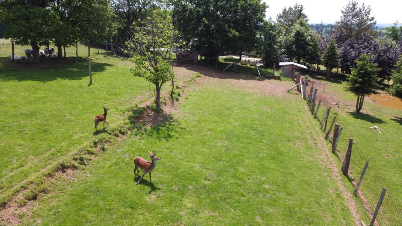 Вилла Le Gagnage 31 Pers- Malmedy, Rustique, Vue, Wellness Экстерьер фото